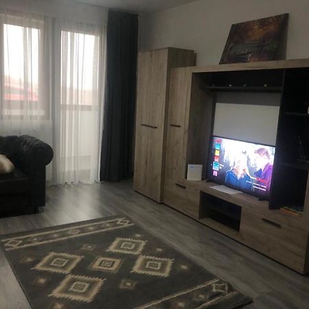 Apartmán Ilinca-Zgatia Piatra Neamţ Exteriér fotografie